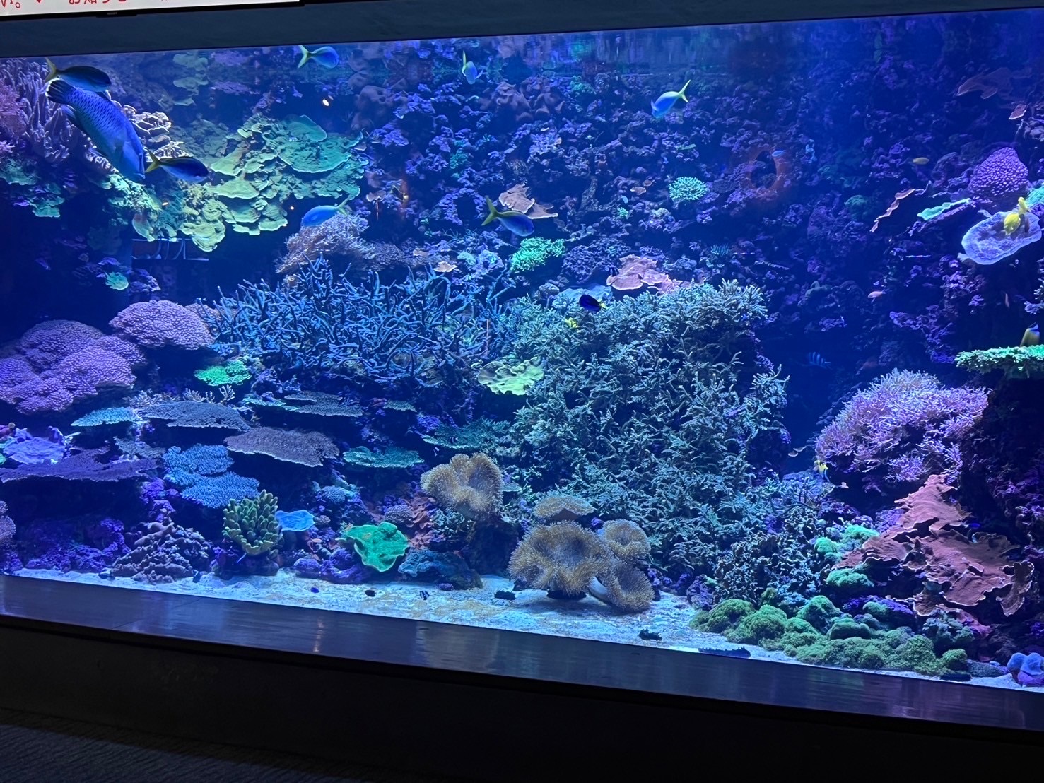 施工例8