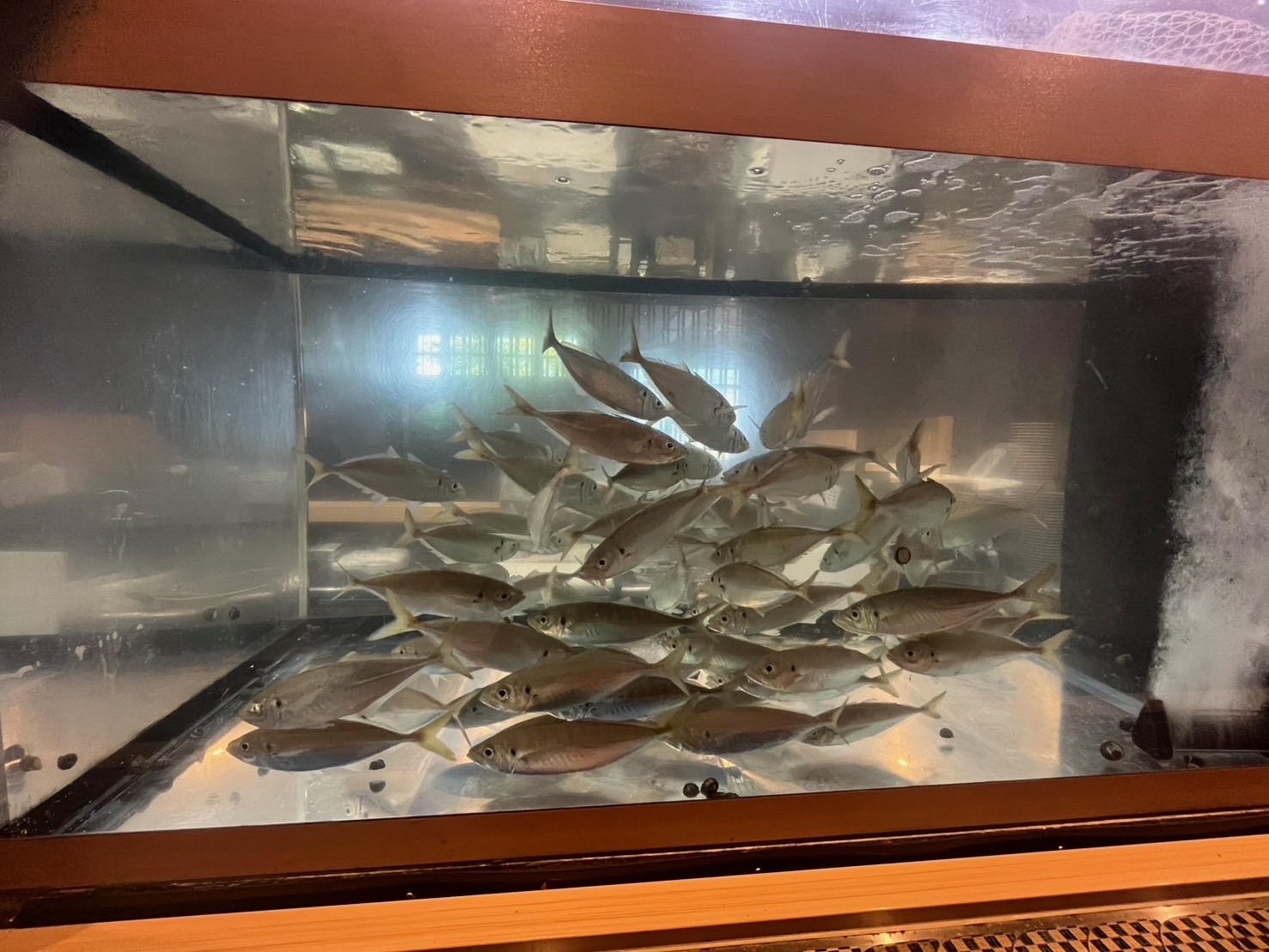 施工例7