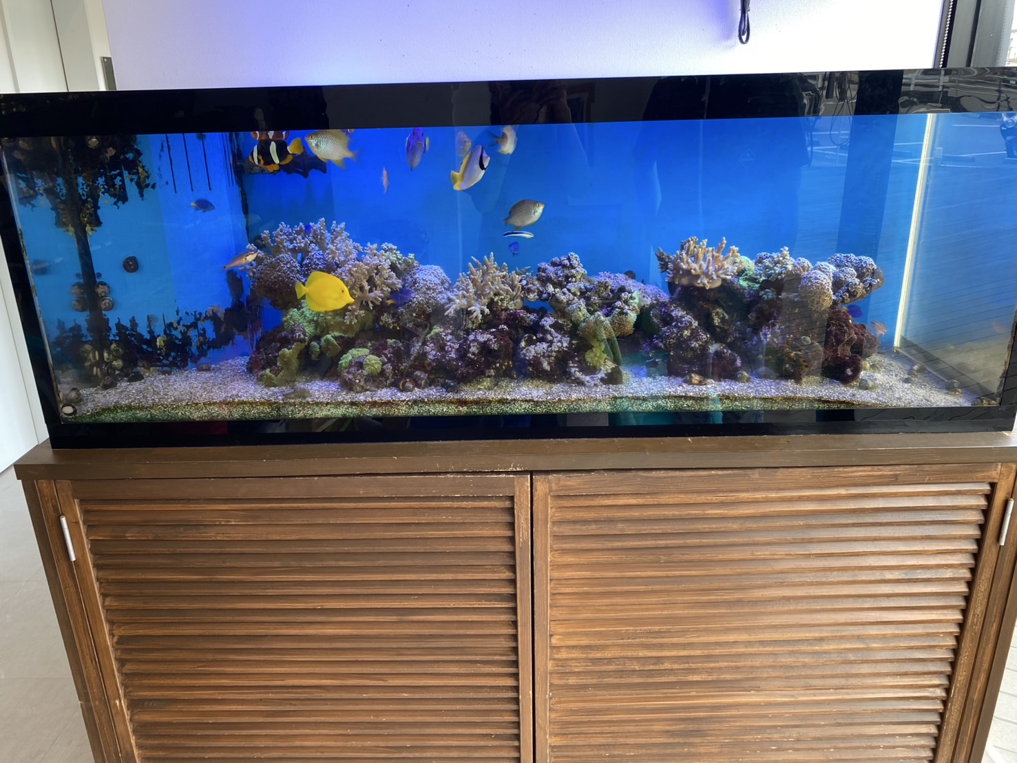 施工例6