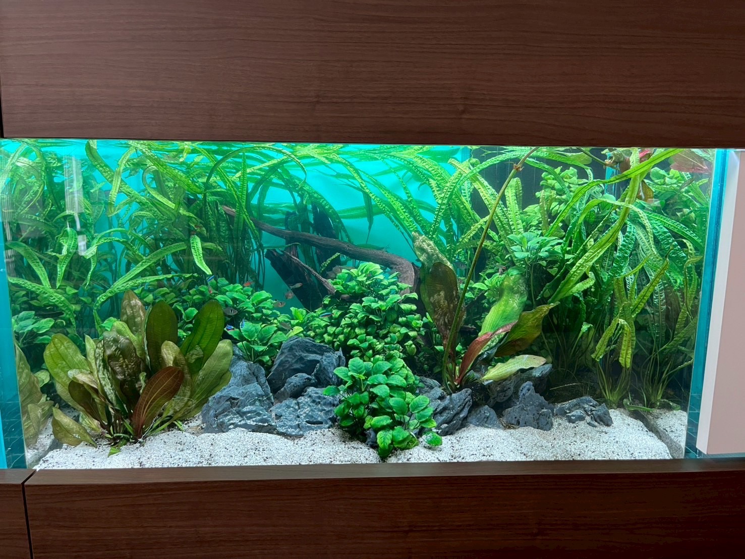 施工例4