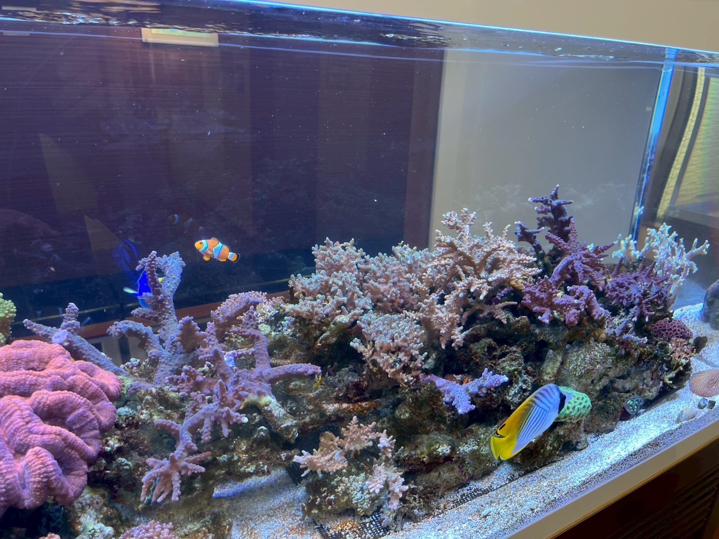 施工例8